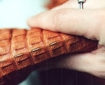Close-up image of a hand demonstrating the pliability of alligator leather